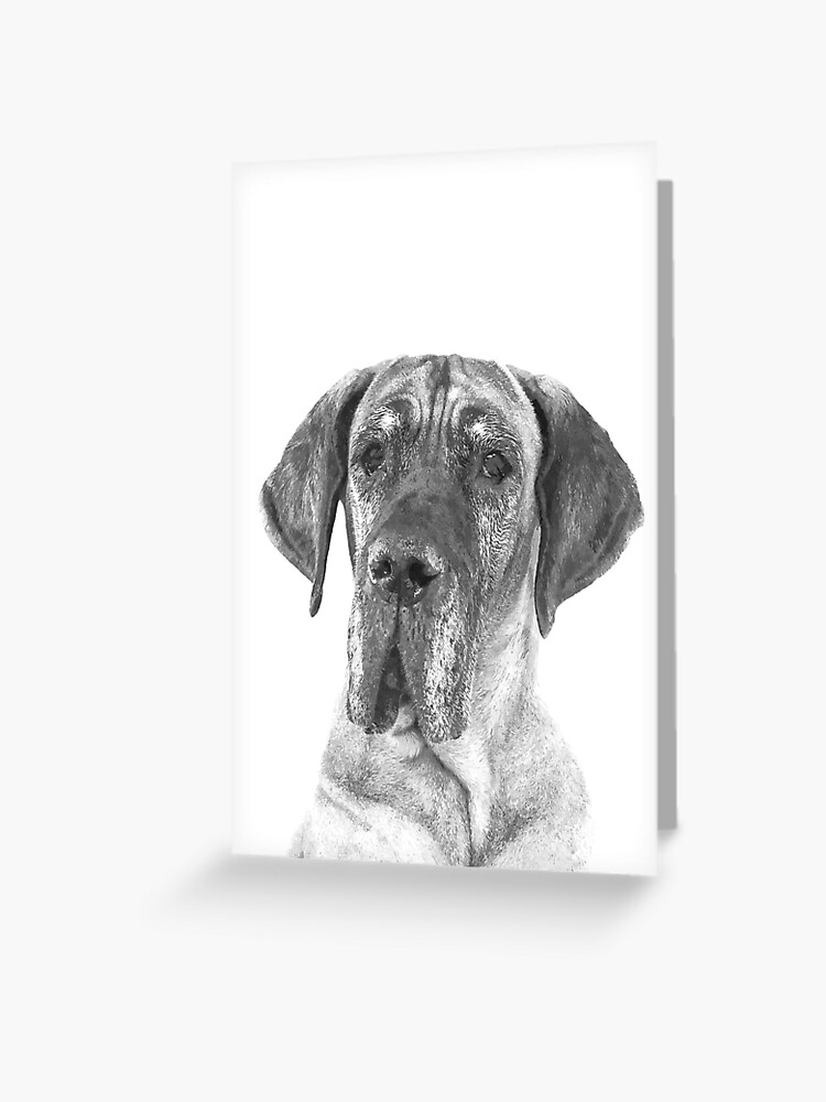 Dogue Allemand Noir et Blanc Carte de v ux