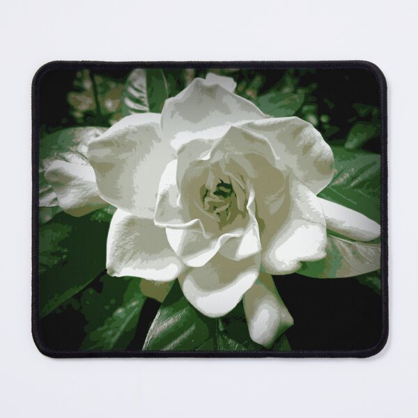Item preview, White Gardenia In The Shadows designed and sold by Heathermarie321.