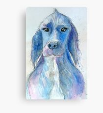 Harry Canvas Print