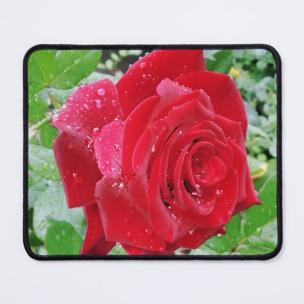 Item preview, Beautiful red rose after the rain  designed and sold by helenkaiy.