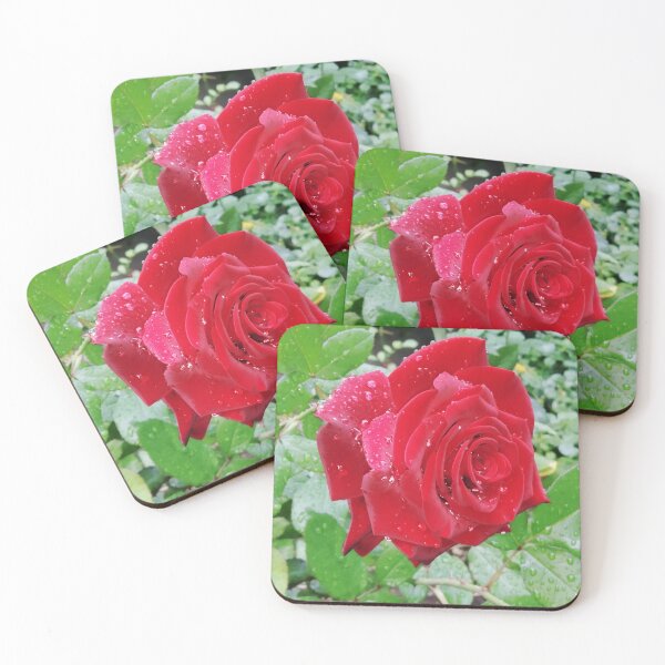 Item preview, Beautiful red rose after the rain  designed and sold by helenkaiy.