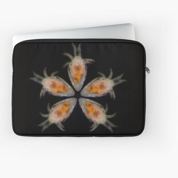 Item preview, Flower Petals of the Nauplii designed and sold by MicrocosmFilm.
