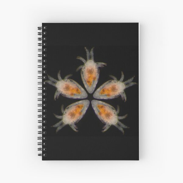 Flower Petals of the Nauplii Spiral Notebook