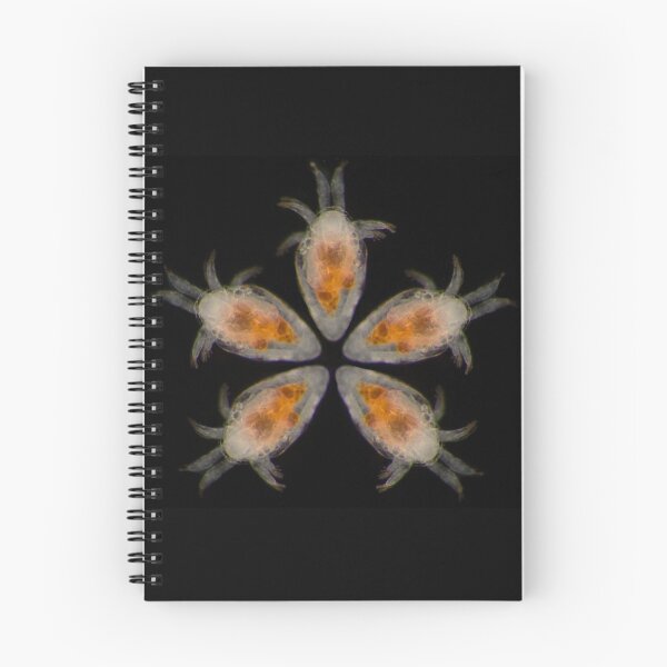 Item preview, Flower Petals of the Nauplii designed and sold by MicrocosmFilm.