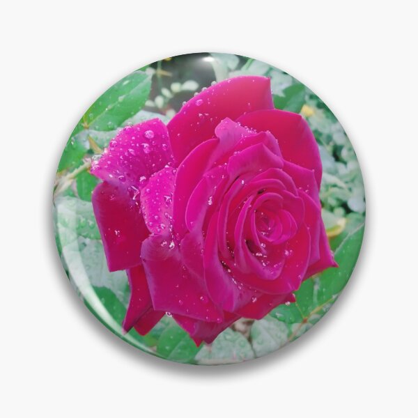 Item preview, Beautiful red rose after the rain  designed and sold by helenkaiy.