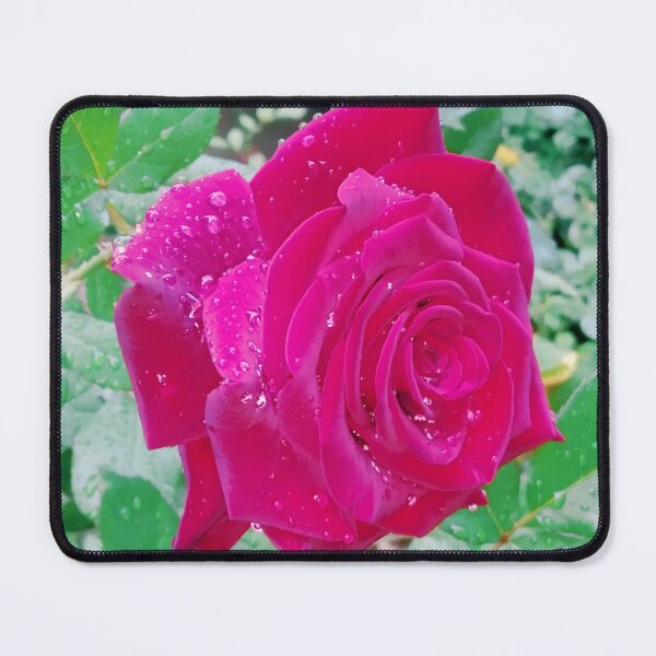 Item preview, Beautiful red rose after the rain  designed and sold by helenkaiy.
