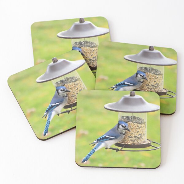 Item preview, Blue Jay No.1 designed and sold by MaryLinH.