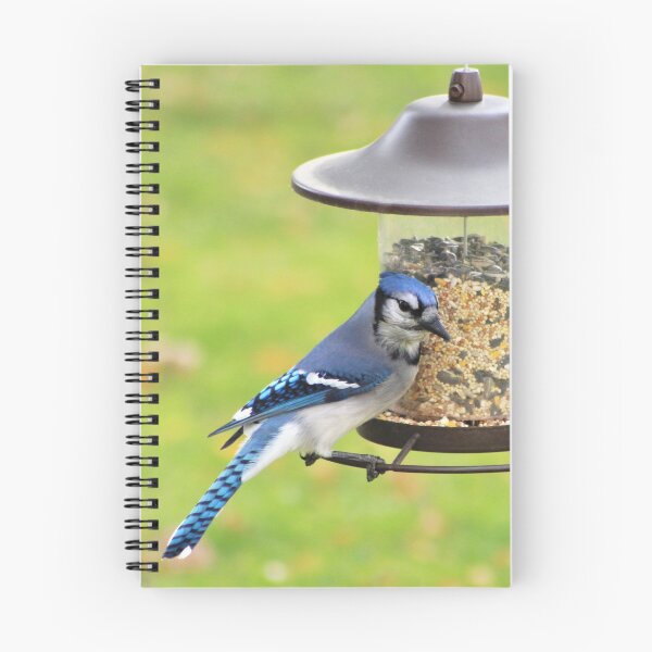 Item preview, Blue Jay No.1 designed and sold by MaryLinH.