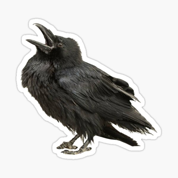 Item preview, Crow Raven Caw designed and sold by elevens.