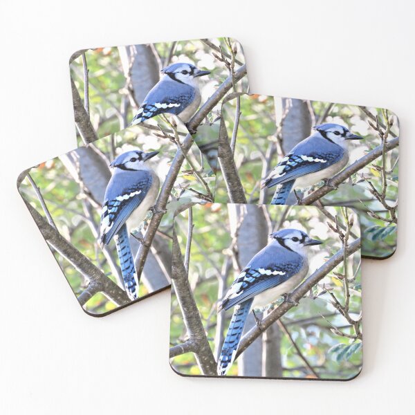 Item preview, Blue Jay No.2 designed and sold by MaryLinH.
