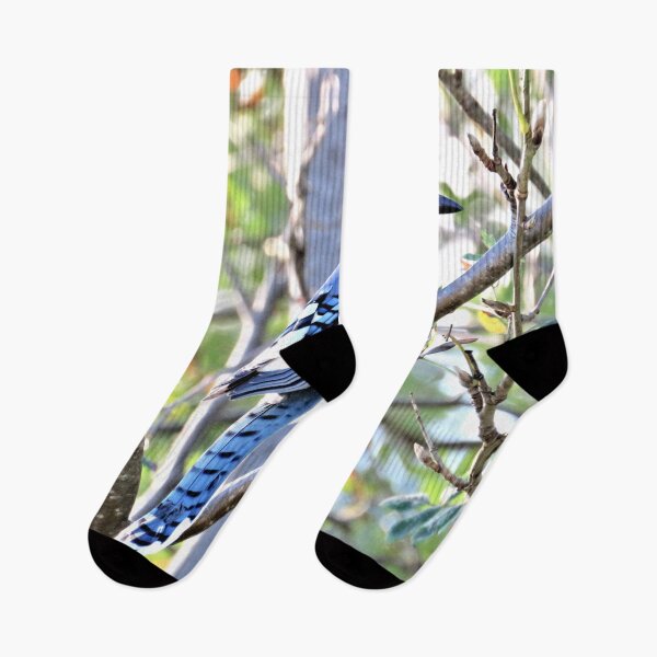 Item preview, Blue Jay No.2 designed and sold by MaryLinH.