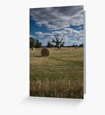Make Hay Greeting Card