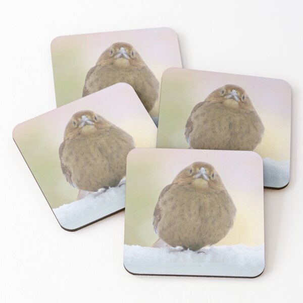 Item preview, Brown-Headed Cowbird No.1 designed and sold by MaryLinH.
