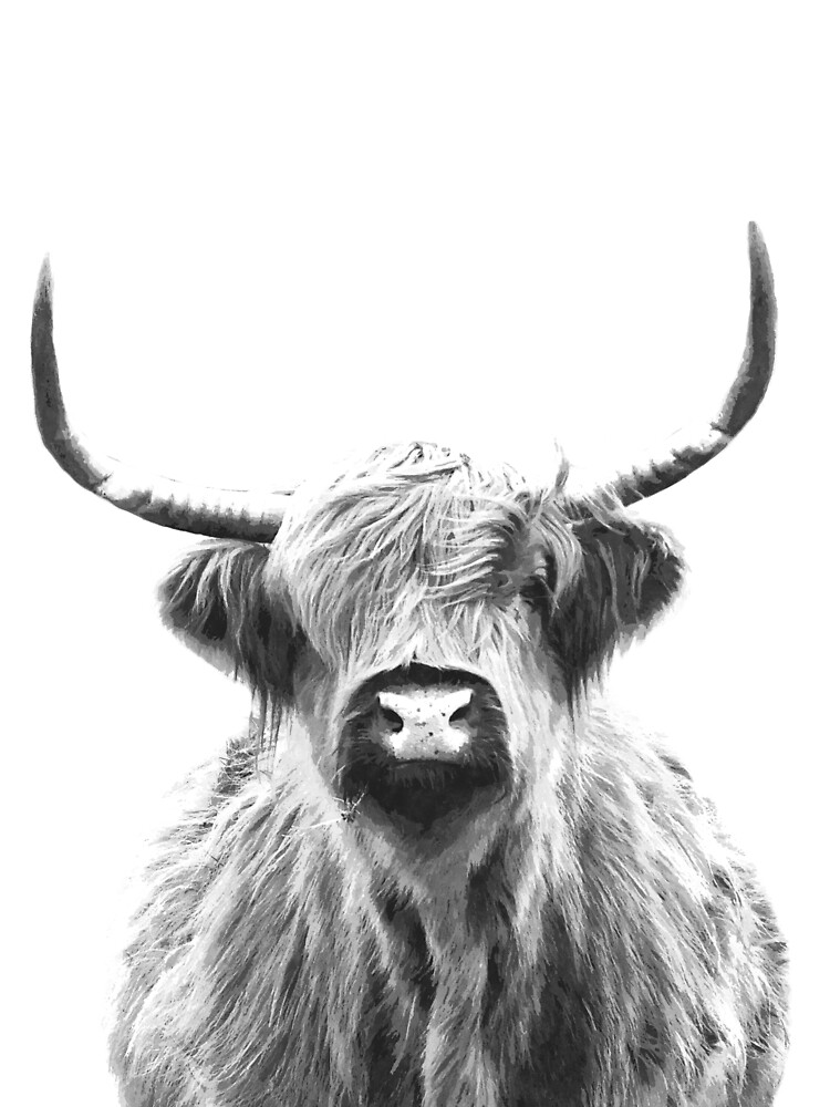 "Black and White Highland Cow" Framed Art Print for Sale by Alemi