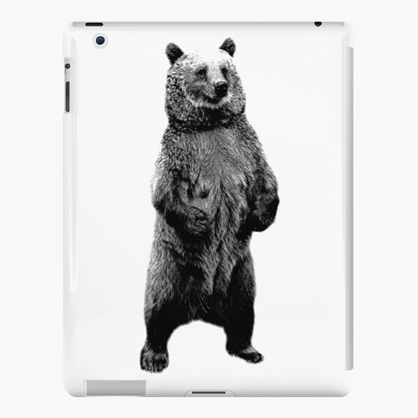 Bear Images Ipad Cases Skins Redbubble