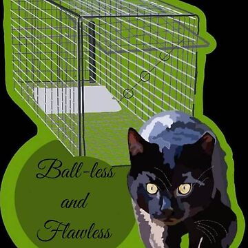 Ball less and flawless cat shirt hotsell