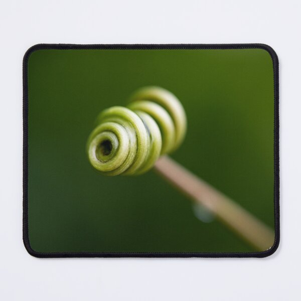 Item preview, The spiral designed and sold by Manfred Marquard.