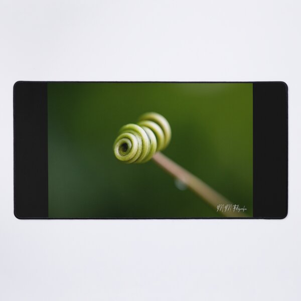 Item preview, The spiral designed and sold by Manfred Marquard.