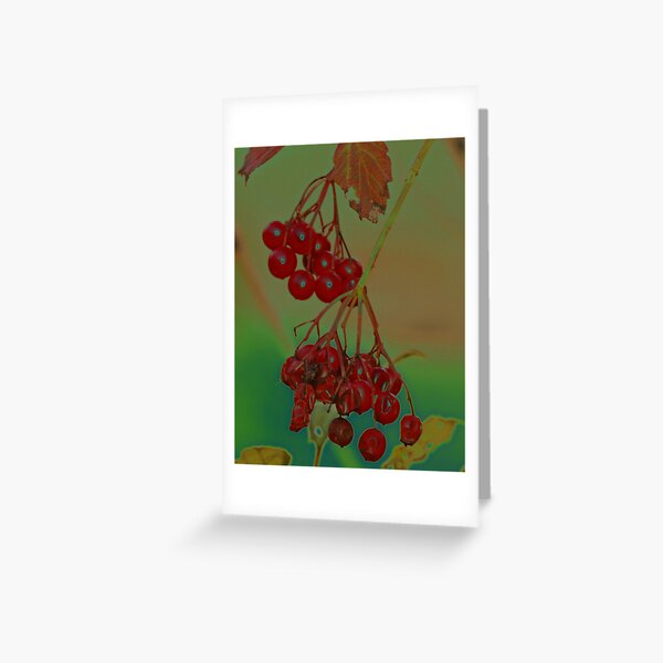 Item preview, Winter Berries designed and sold by Robert Abraham.