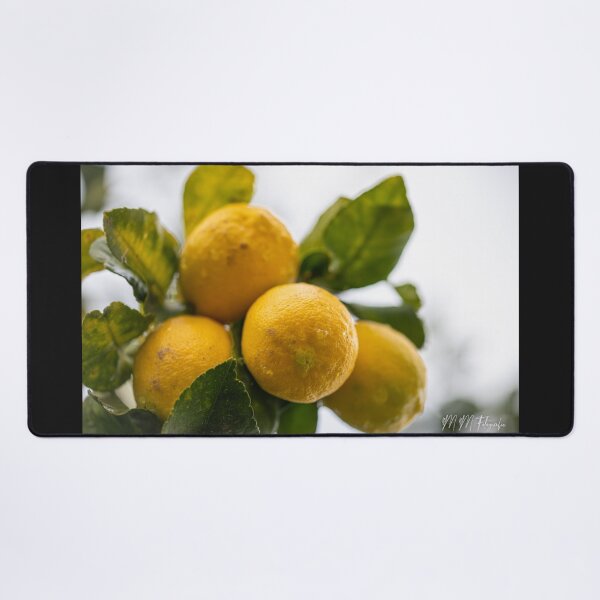 Item preview, Lemontree designed and sold by Manfred Marquard.