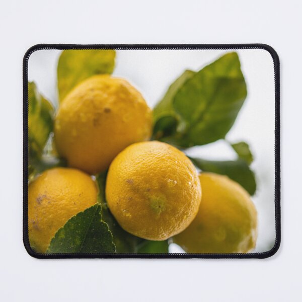 Item preview, Lemontree designed and sold by Manfred  Marquard.