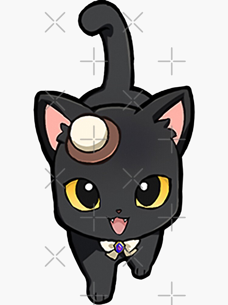 Genshin cat with black hat｜TikTok Search
