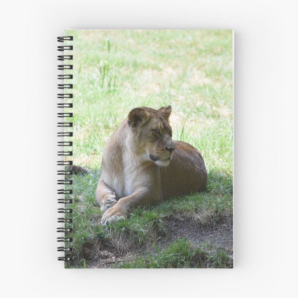 Item preview, Lioness Lying Down designed and sold by MontanaWolves21.