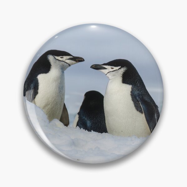 Item preview, Antarctic Locals designed and sold by Jan Fijolek.