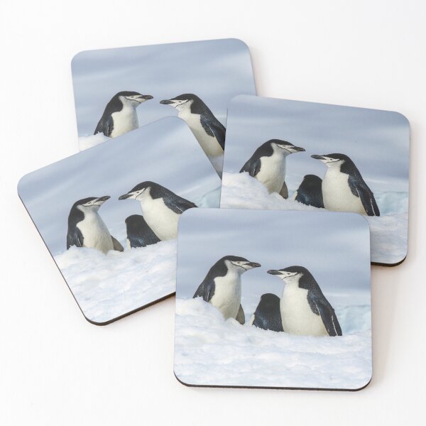 Item preview, Antarctic Locals designed and sold by Jan Fijolek.