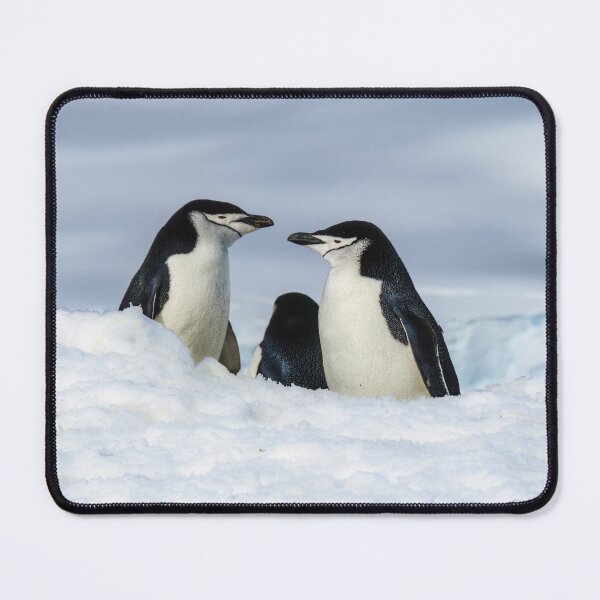 Item preview, Antarctic Locals designed and sold by Jan Fijolek.