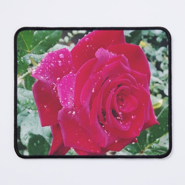 Item preview, Beautiful red rose after the rain  designed and sold by helenkaiy.