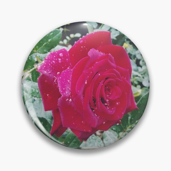 Item preview, Beautiful red rose after the rain  designed and sold by helenkaiy.