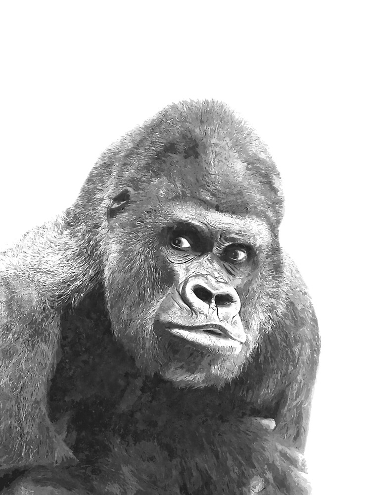 Black and White Gorilla Poster