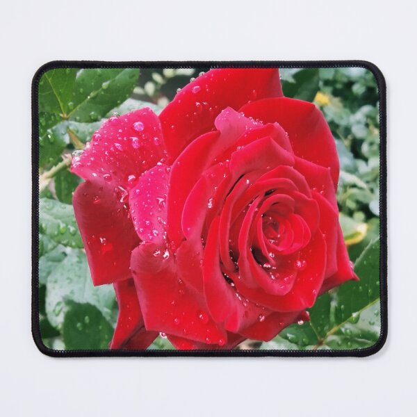 Item preview, Beautiful red rose after the rain  designed and sold by helenkaiy.