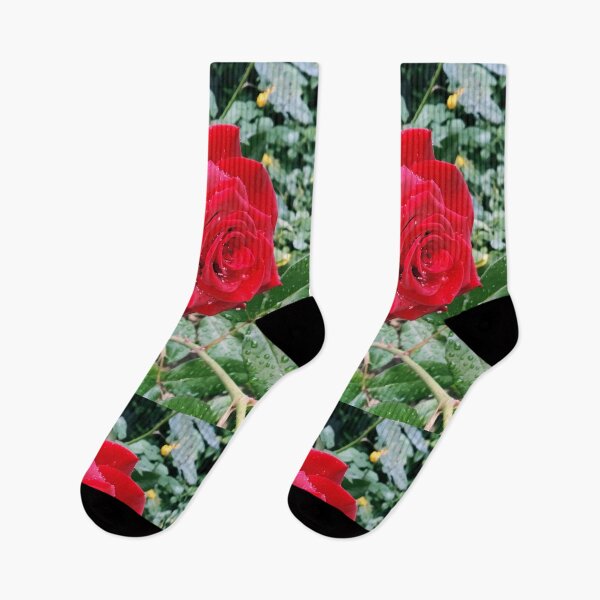 Item preview, Beautiful red rose after the rain  designed and sold by helenkaiy.
