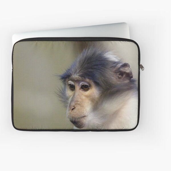 Ziggy - White Naped Mangabey Laptop Sleeve