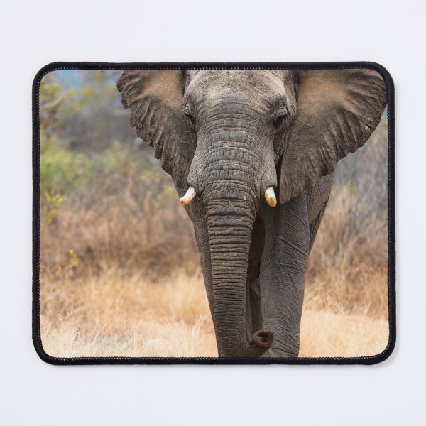 Item preview, African Savannah Elephant designed and sold by Jan Fijolek.