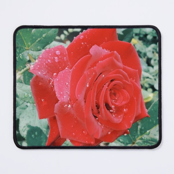Item preview, Beautiful red rose after the rain  designed and sold by helenkaiy.