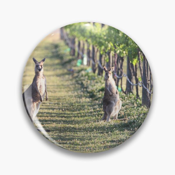 Item preview, Kangaroos amongst the grapevines of the Hunter Valley  designed and sold by Michael Fitzsimmons.