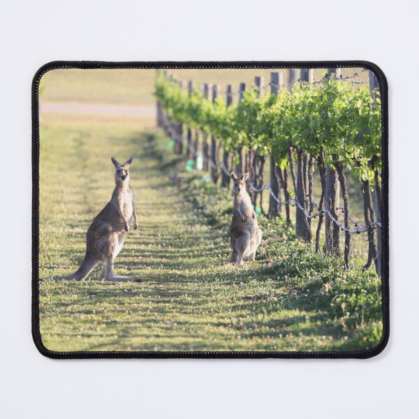 Item preview, Kangaroos amongst the grapevines of the Hunter Valley designed and sold by Michael Fitzsimmons.