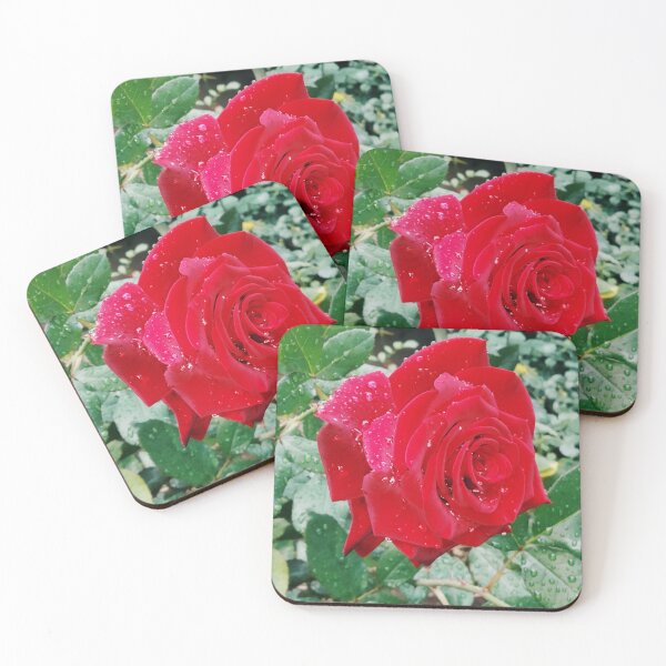 Item preview, Beautiful red rose after the rain  designed and sold by helenkaiy.