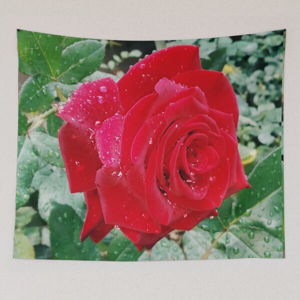 Item preview, Beautiful red rose after the rain  designed and sold by helenkaiy.