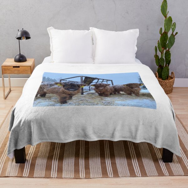 Aperçu de l'œuvre Scottish Highland Cattle Calves 4195 créée et vendue par SaarelaHighland.