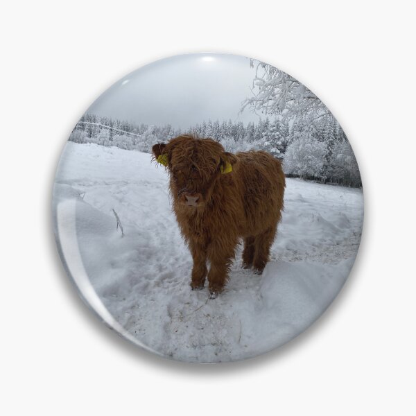 Item preview, Scottish Highland Cattle Calf 4198 designed and sold by SaarelaHighland.