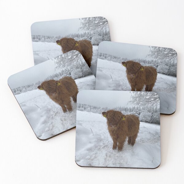 Item preview, Scottish Highland Cattle Calf 4198 designed and sold by SaarelaHighland.