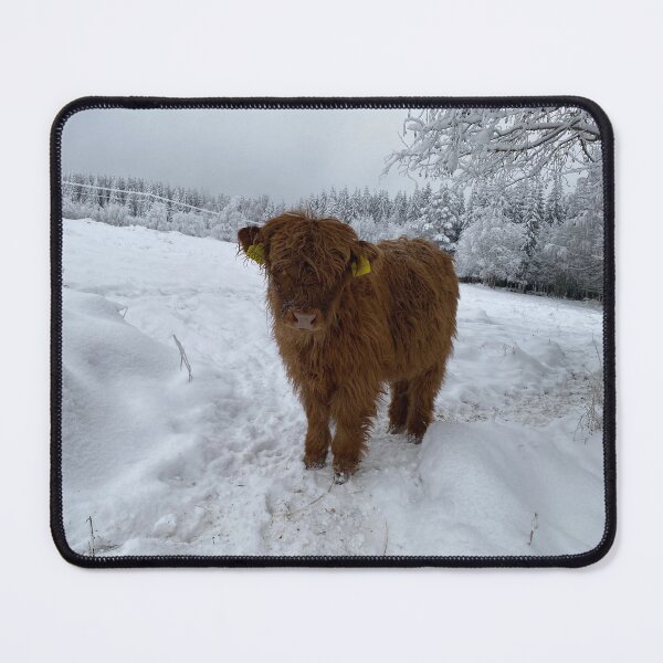 Item preview, Scottish Highland Cattle Calf 4198 designed and sold by SaarelaHighland.