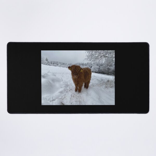 Item preview, Scottish Highland Cattle Calf 4198 designed and sold by SaarelaHighland.