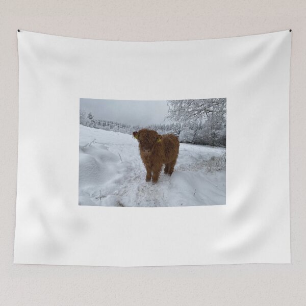Item preview, Scottish Highland Cattle Calf 4198 designed and sold by SaarelaHighland.