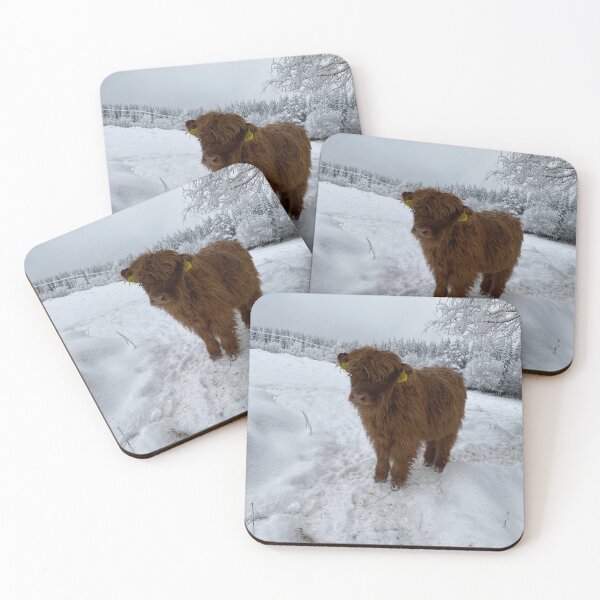Item preview, Scottish Highland Cattle Calf 4199 designed and sold by SaarelaHighland.