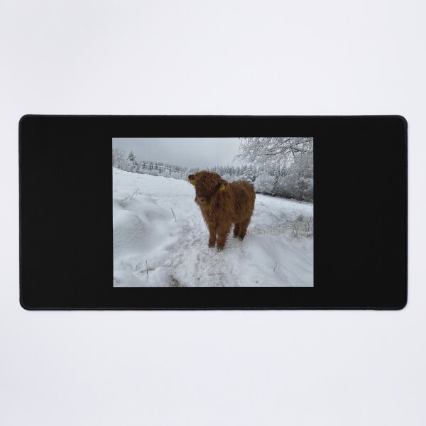 Item preview, Scottish Highland Cattle Calf 4199 designed and sold by SaarelaHighland.